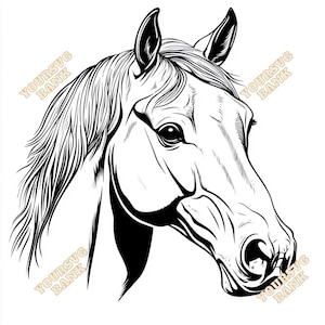 Cheval Morgan SVG et PNG | Limes pour travaux manuels équestres gracieuses | Téléchargement instantané