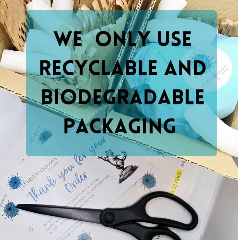 May include: An open cardboard box filled with recyclable and biodegradable packaging materials. The box contains blue tissue paper, white packing peanuts, and brown paper. Text on the box reads "WE ONLY USE RECYCLABLE AND BIODEGRADABLE PACKAGING."