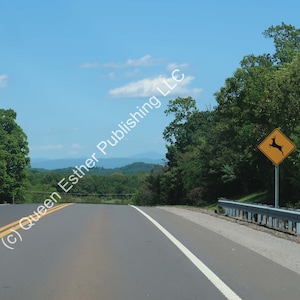 Strada del Tennessee con il segno dei cervi