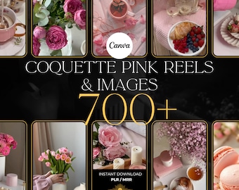 700+ Pink Aesthetic Faceless Reels, Matching Instagram Photo Posts & Stories, Faceless Digital Marketing, PLR MRR, Master Resell Rights