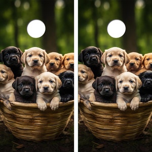 Basket of Labs Cornhole Board Skin Wraps FREE LAMINATE