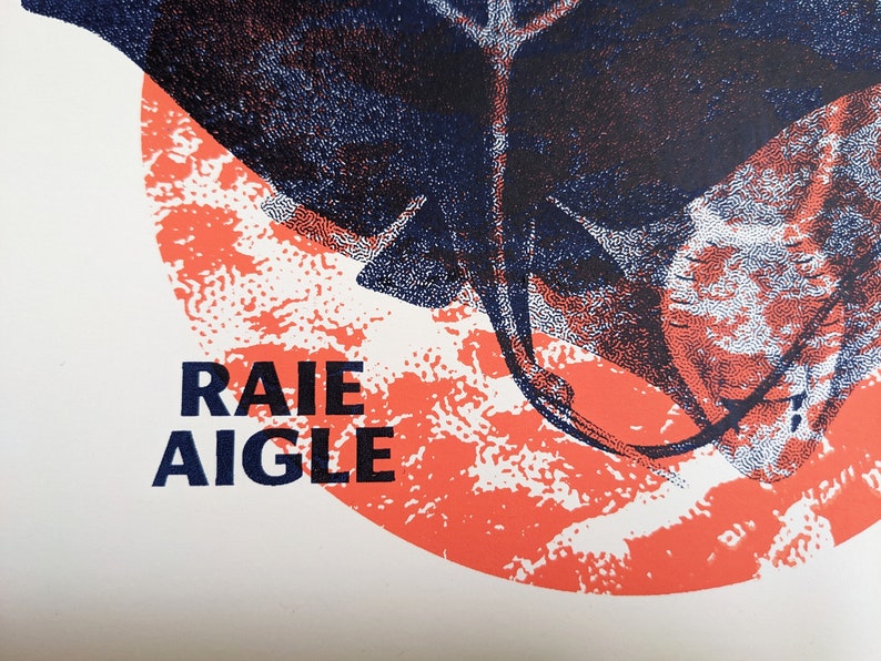 Eagle ray, artisanal screen print, A4 print image 4