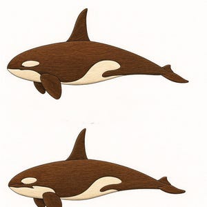 May include: Three illustrations of orcas, or killer whales, are shown against a white backdrop. The orcas are brown with white markings and fins. The illustrations vary in size, with the largest at the top and the smallest at the bottom.