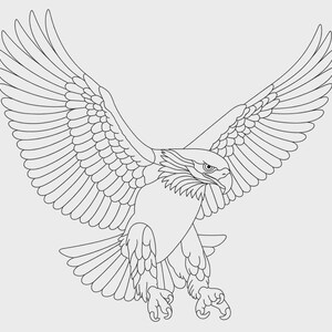 May include: Line art illustration of an eagle in flight, wings spread wide. The eagle is depicted with detailed feathers and a focused expression, claws extended. The image is a black outline on a light gray background.