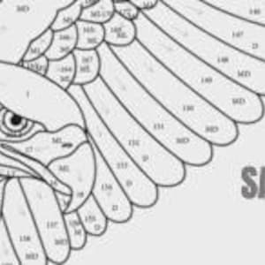 May include: Line art illustration of an eagle in flight, with detailed feather and eye features. The image is divided into numbered sections, likely for a paint-by-numbers project. The word "SAMPLE" is printed in gray.