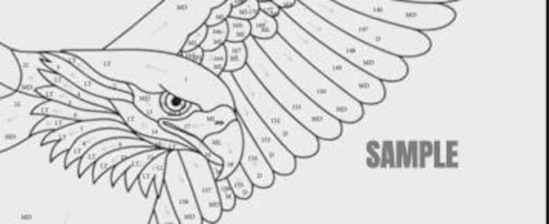 May include: Line art illustration of an eagle in flight, with detailed feather and eye features. The image is divided into numbered sections, likely for a paint-by-numbers project. The word "SAMPLE" is printed in gray.