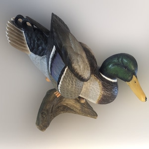 SALE 20% ! Life Size Standing Mallard Decoy