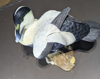 Standing Eider Duck Decoy