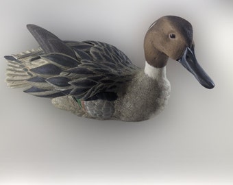 SALE 20% ! Life Size Pintail Drake Duck Decoy