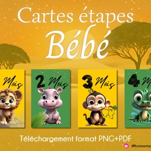 Savanna baby step cards