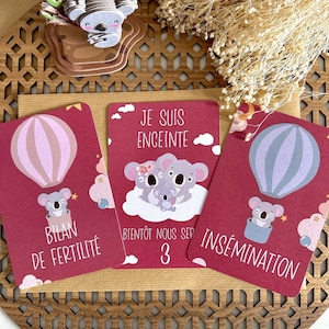 Cartes PMA koala