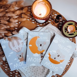 Cartes de naissance koala
