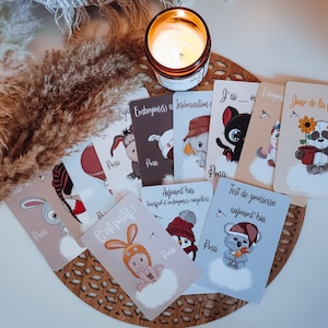 Cartes PMA animaux