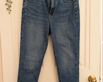 New American Eagle Skinny Jeans | Size 12 SHORT | Never Worn | Medium Wash
