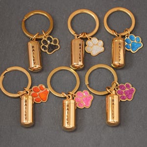 Puede incluir: Seis llaveros dorados con cilindros grabados y dijes con forma de pata. Los dijes son de varios colores, incluyendo azul, rosa, blanco y naranja. Los cilindros están grabados con el nombre "BAILEY".
