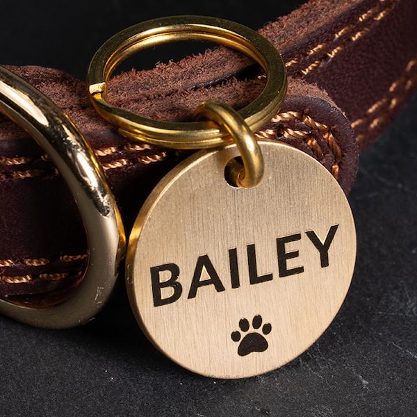 Personalized Engraved Pet Tag, Solid Brass or Stainless Steel, Double Sided