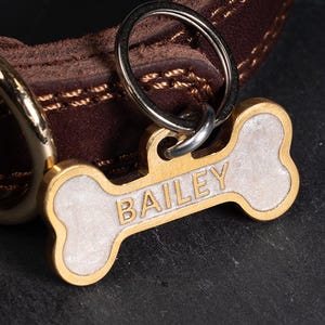 May include: A close-up of a dog collar with a bone-shaped tag. The tag is gold-colored with the name "BAILEY" engraved in the center. The collar is brown leather with gold stitching.