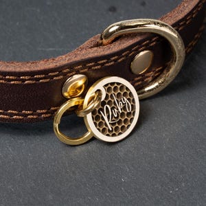 May include: A dark brown leather collar featuring gold-toned metal hardware and a circular tag. The tag displays a honeycomb pattern and the name Ruby in white script. The collar is stitched with brown thread along the edges.