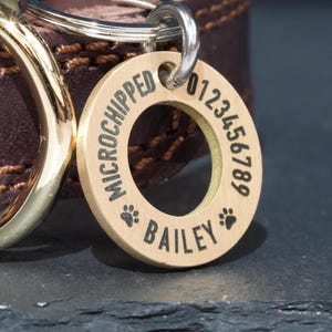 Custom Solid Brass Pet Tag, Premium Modern Design ID Tag for Dogs, Quality Deep Engraved Round Dog Tag, Cat Tag, Thick Solid Brass Material