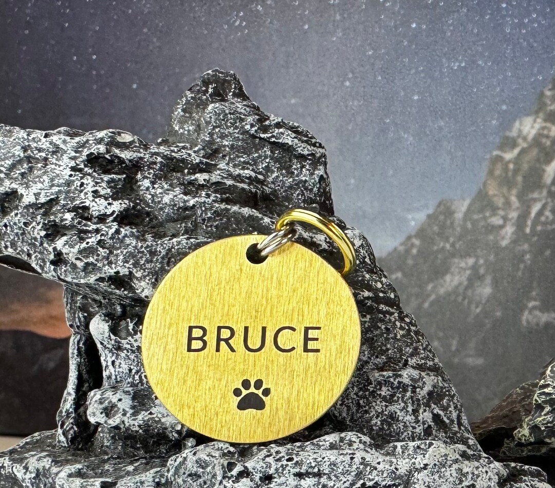 Dog Name Tags Cat Name Tags Brass Pet Tag Personalized Dog Tag dog-name-tags-cat-name-tags-brass-pet-tag-personalized-dog-tag