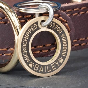 Custom Solid Brass Pet Tag, Premium Modern Design ID Tag for Dogs, Quality Deep Engraved Round Dog Tag, Cat Tag, Thick Solid Brass Material