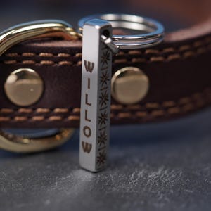 Op de afbeelding: Een close-up van een bruine leren hondenriem met goudkleurige hardware en een zilveren tag. De tag is gegraveerd met de naam "WILLOW" en sterrenpatronen. De halsband is gestikt met een lichtere bruine draad.