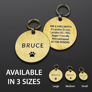 Dicker massiver Messinghund Namensschilder und Katzen Namensschilder, personalisierte Hundemarke, gravierte und doppelseitige Haustiermarke, Haustier Geschenkbox personalisiert