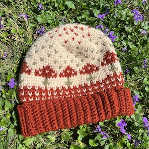 Handmade Crochet Colorwork Mushroom Beanie