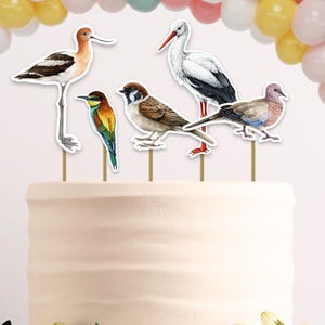 Bird Topper for Cake and Cupcakes Bird Birthday Party Bird Theme Party