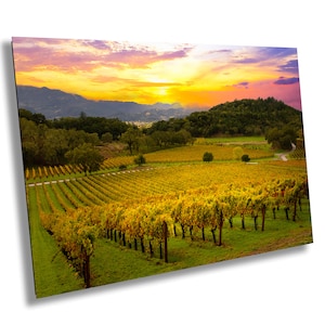 CabernetWineArt Vineyard Wall Art, Fall Harvest Scene, Rustic Grapevine Canvas, California Winery Decor, Seasonal Landscape Print