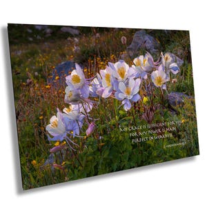 Columbine, 2 Corinthians 12:9, Blue Flower Art, Rocky Mountain Flora, Wildflower Photograph, Colorado State Flower