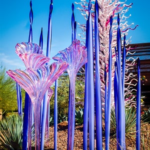 Botanical Glass Art Print, Desert Colors (Glossy Photo Paper) image 2