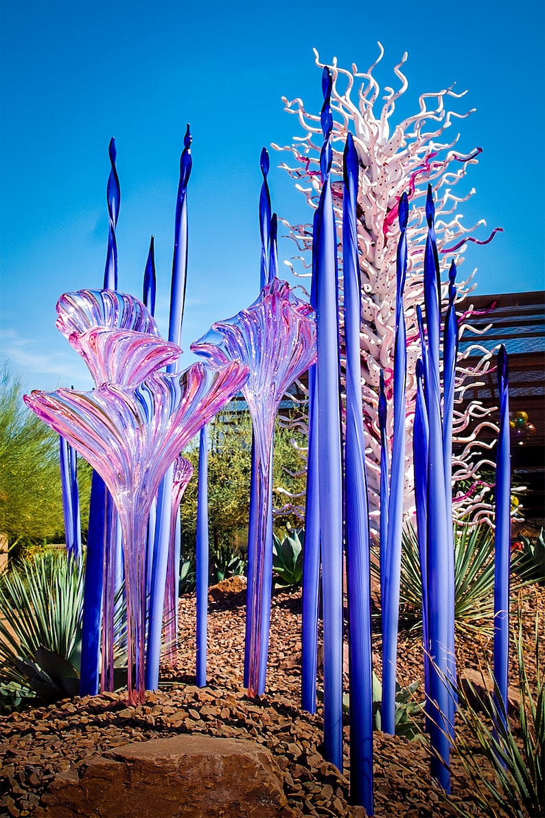 Botanical Glass Art Print, Desert Colors (Glossy Photo Paper) image 2