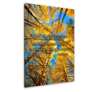 May include: A vertical print featuring a view looking up through tall trees with yellow leaves against a bright blue sky. The print includes text from Isaiah 41:10: "So do not fear, for I am with you..."