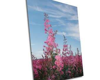 Fire in the Sky, Beautiful Landscape of Alaska Fireweed Flowering Plant, Clouds & trees Canvas Print - Fireweed Canvas Print, Alaska Art