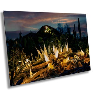 Chihuly Glaskunst, Blueyes Fotografie, Chihuly Boote, Wüstenlandschaft, Wüste Botanische Gärten, Buntes Gelbes Glas, Fine Art Print