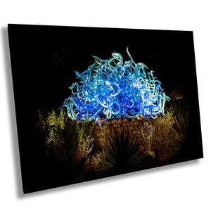 Chihuly Glass, Desert Landscape, Colorful Glass, Vibrant Blue Sculpture, Botanical Print, Fine Art Photography, Unique Home Decor