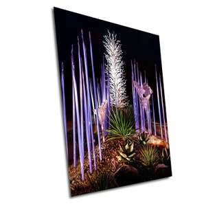 Chihuly Glass, Chihuly Boats, Desert Art, Colorful Sculpture, Vibrant Nature Print, Botanical Landscape Wall Decor, Fine Art Photography