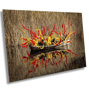 Chihuly Glaskunst, BlueyesPhotography, Chihuly Boote, Wüstenlandschaft, Desert Botanical Gardens, Buntes Rot / Oranges Glas, Fine Art Print