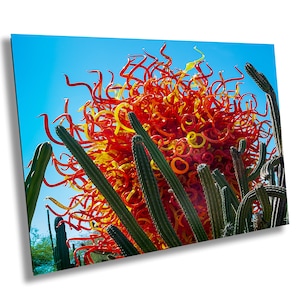 Chihuly Glaskunst, BlueyesPhotography, Chihuly Boote, Wüstenlandschaft, Desert Botanical Gardens, Buntes Rot / Oranges Glas, Fine Art Print