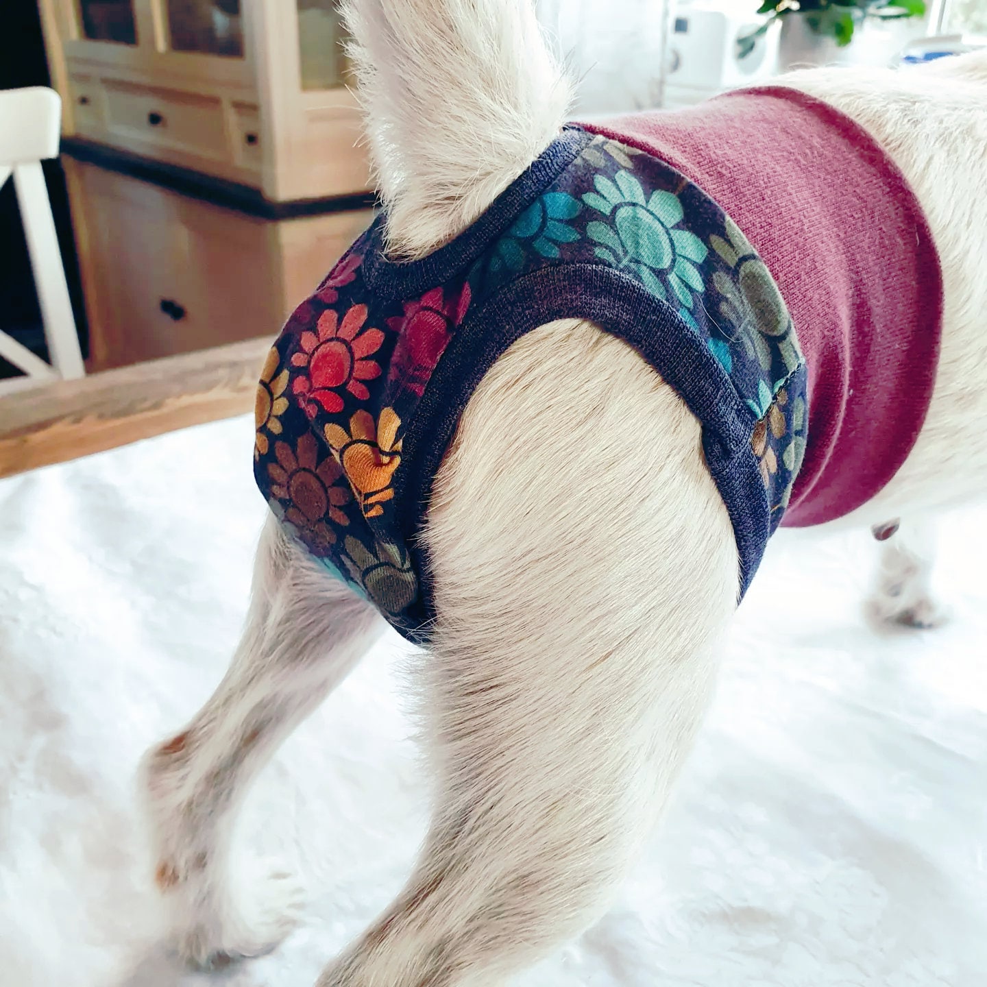 Digital Sewing Pattern. Dog Hygiene Pants. Size Small. English