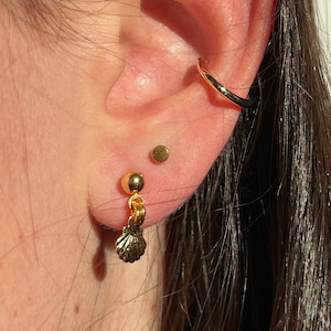 May include: Gold shell dangle earrings with a small gold ball at the top. The earrings are worn in the lower lobe of the ear.