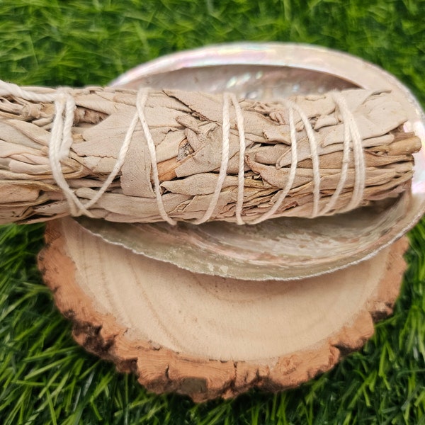 White Sage or White Sage and Rose Petal 10cm Smudge Stick & Abalone Shell