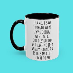 I Came I Saw Funny Mug, Sarcastic Grandmas Gift