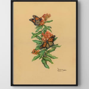 Matte Butterfly Poster, Monarch on Butterfly Milkweed Print, Colored Pencil Drawing, Fine Art Paper Print, Textured Watercolor Art Print