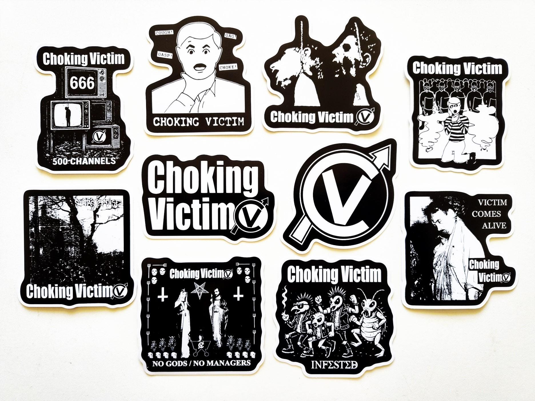 Ska Sticker Ska Punk Band Sticker Pack: Glossy Vinyl Decals (10 Stickers, 3.5-5.5 ...