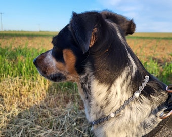Hundehalskette "Summerflair"