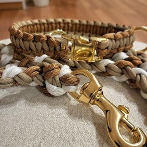 K&ouml;nnte beinhalten: Ein braunes und wei&szlig;es geflochtenes Hundehalsband mit einer goldenen Metallschnalle und einem goldenen Metallclip.