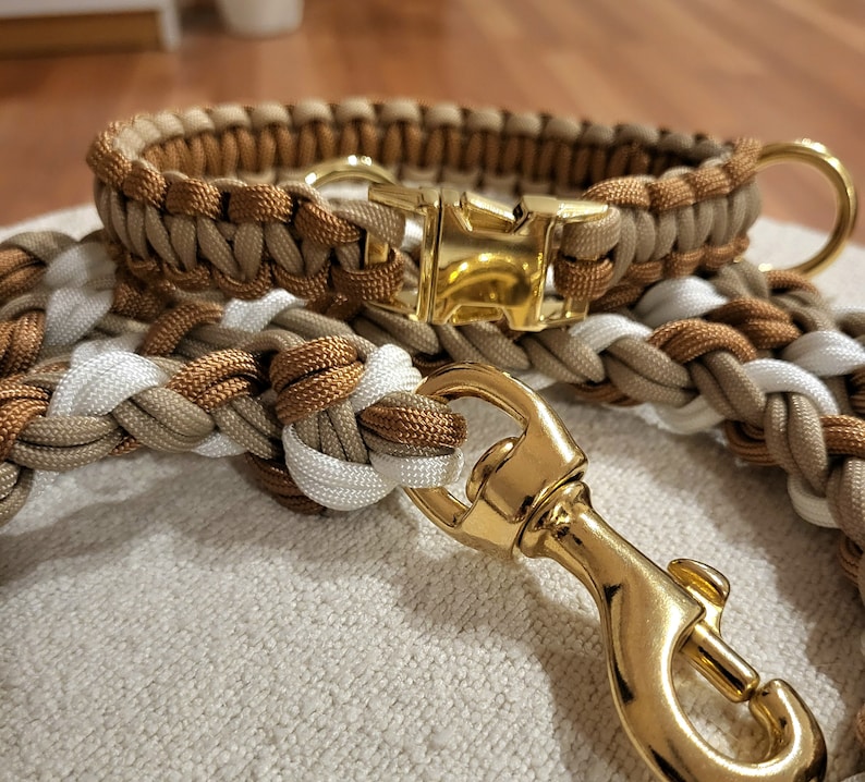 K&ouml;nnte beinhalten: Ein braunes und wei&szlig;es geflochtenes Hundehalsband mit einer goldenen Metallschnalle und einem goldenen Metallclip.
