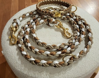 Hundeleine und Hundehalsband Bronzed Edition